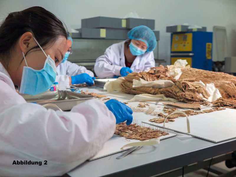 Schuppen_Abb_2 besch