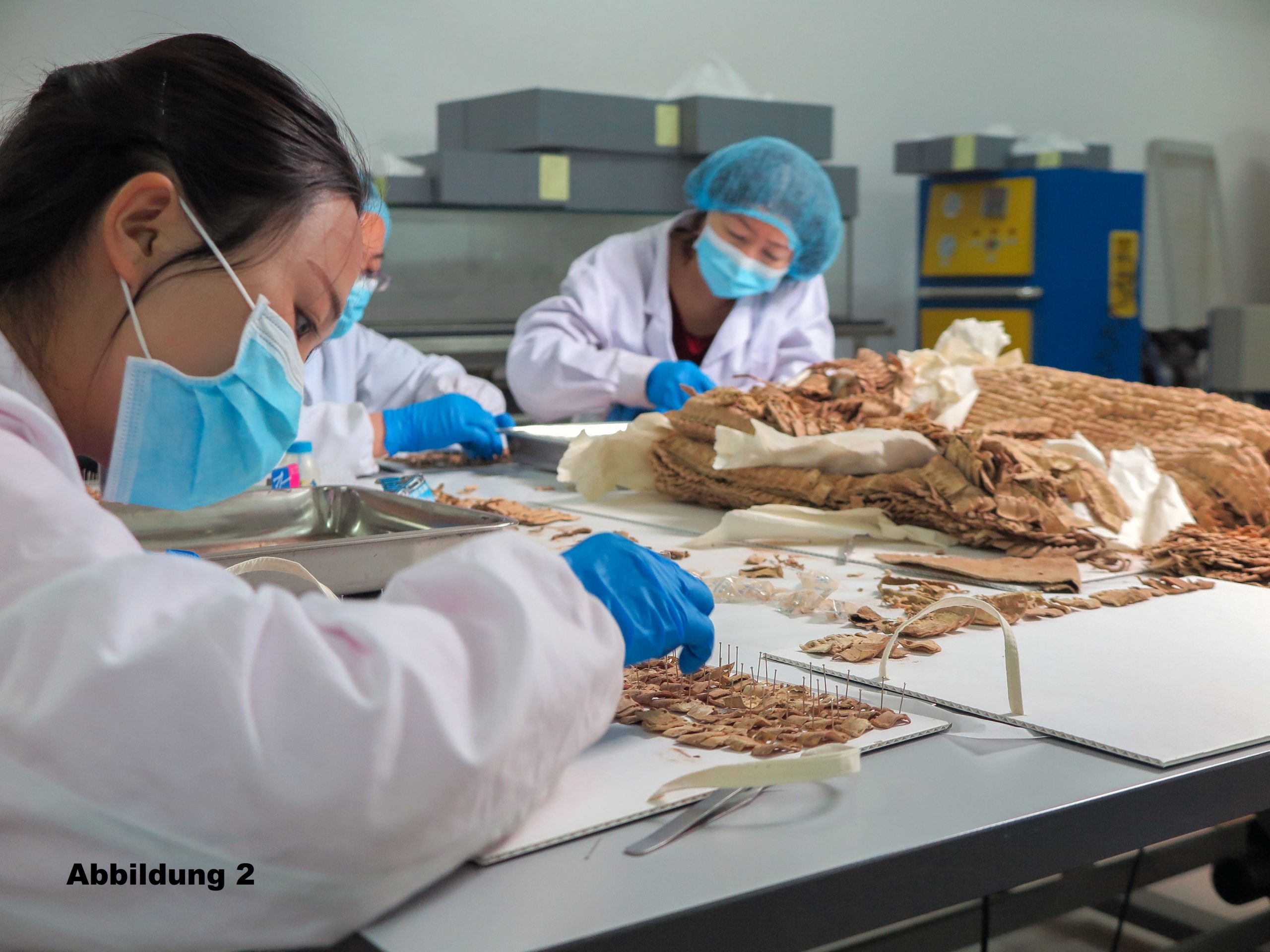 Schuppen_Abb_2 besch