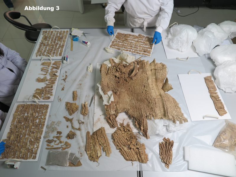 Schuppen_Abb_3 beschriftet