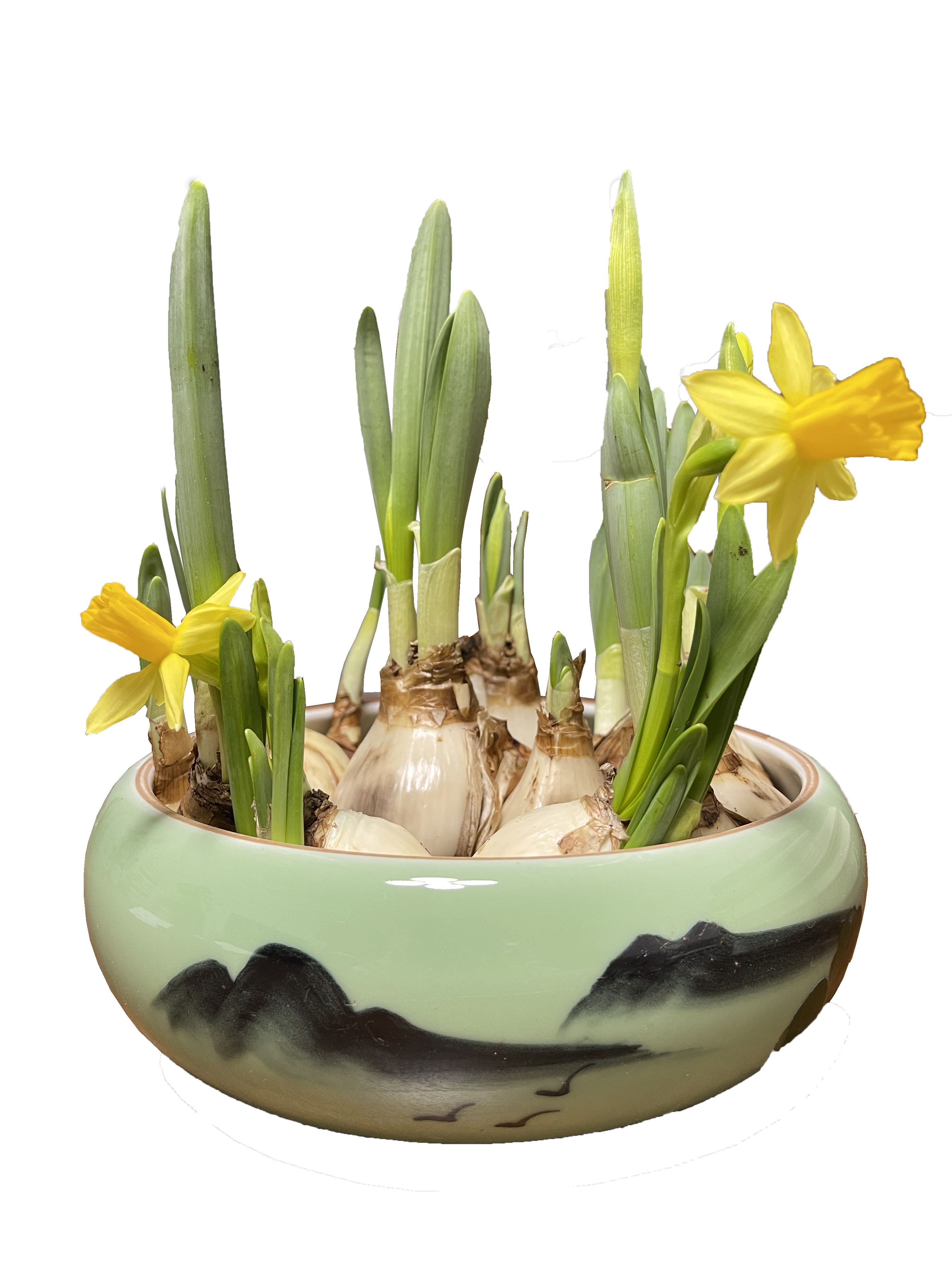 Traditional flower and basin-1