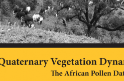 Screenshot 2022-01-27 at 13-02-43 QuaternaryVegetation Dynamics – The African Pollen Database – 9781003162766_webpdf pdf