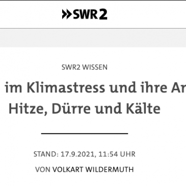 Tipp: SWR2 Wissen Broadcast „Early Cultures under Climate Stress and their Responses to Heat, Drought and Cold.“