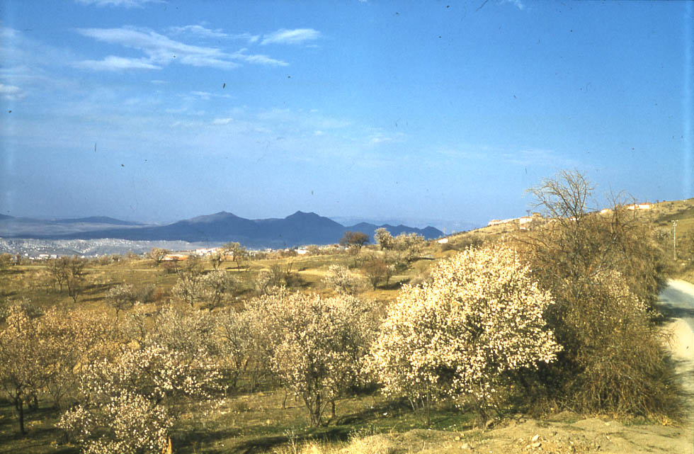 Eckstein , Küçükesat, Ankara